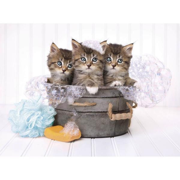 500 pieces puzzle: Kittens and soap - Clementoni-35065