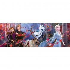 Panorama 1000 piece puzzle: Frozen