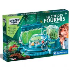 Science et jeu : La cité des fourmis