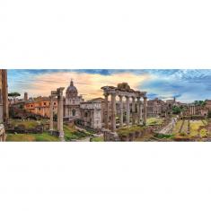 Panoramic jigsaw puzzles - Puzzle Boulevard