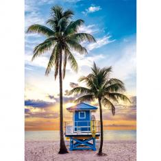 Puzzle Compact 500 pieces : Florida, Miami Beach 