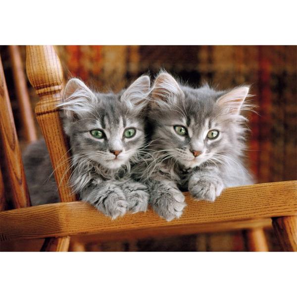  Puzzle Compact 500 pièces : Chatons - Clementoni-35580