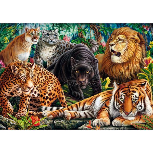  Puzzle Compact 500 pièces : Les Chats Sauvages - Clementoni-35584