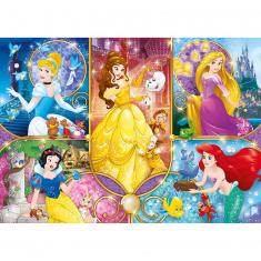 104 pieces puzzle: Brilliant: Disney Princesses