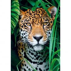 Puzzle 500 pièces + poster : Jaguar dans la jungle