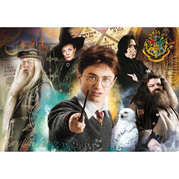 500 piece puzzle : Harry Potter - Clementoni-35534