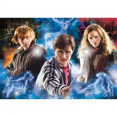 500-teiliges Puzzle: Harry Potter