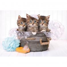 Puzzle 180 pieces: Pretty kittens
