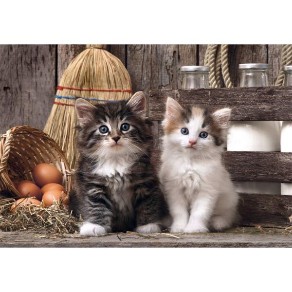  Puzzle Compact 1000 pièces : Adorables chatons - Clementoni-39943