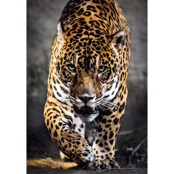 Puzzle Compact 1000 pieces : Walk of the Jaguar  - Clementoni-39947