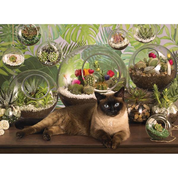 1000 piece puzzle: Cat and terrarium - CobbleHill-80049