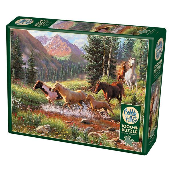 Cobble Hill Puzzle 1000 Teile – „Hotel Prince Of Galles“, Ca. 68 X 49 Cm, Mit Poster