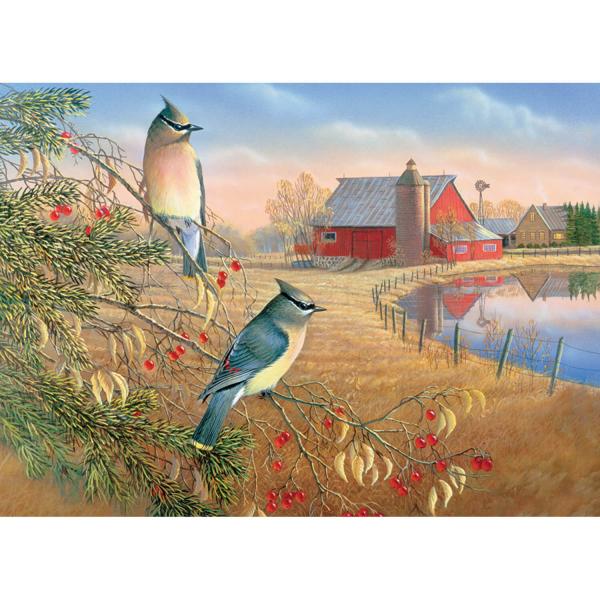 1000 piece puzzle: Cedar waxwings - CobbleHill-80189