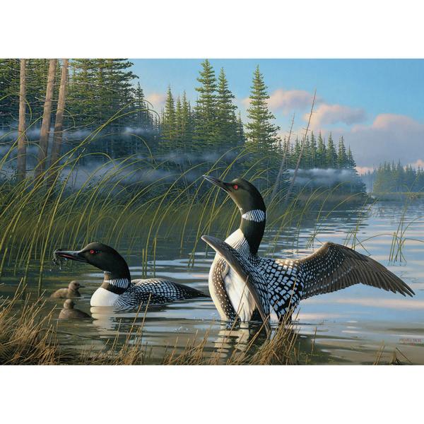 1000 piece puzzle: Common loons - CobbleHill-80107