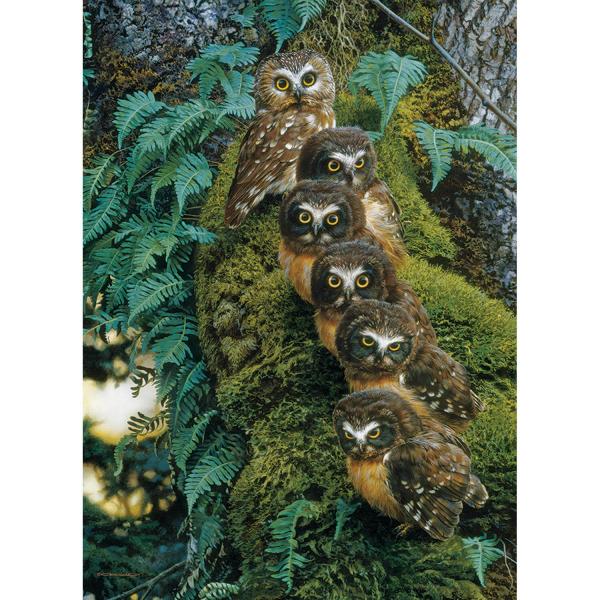 1000 piece puzzle: Family tree - CobbleHill-80018