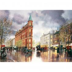 1000 piece puzzle: Flat Iron