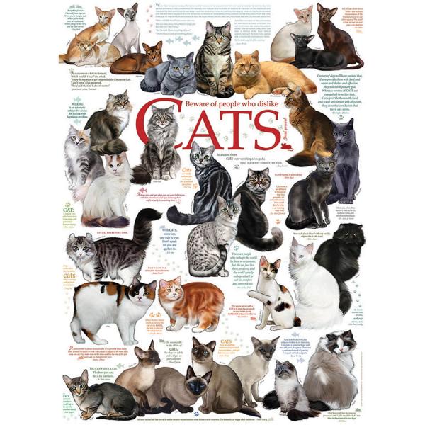 1000 Piece Jigsaw Puzzle: Cats Quotes - CobbleHill-80095