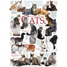Puzzle de 1000 piezas: citas de gatos