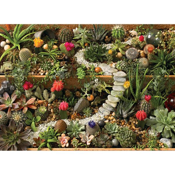 Puzzle 1000 pièces : Jardin de succulentes - CobbleHill-80157