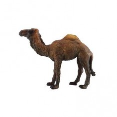  Camel