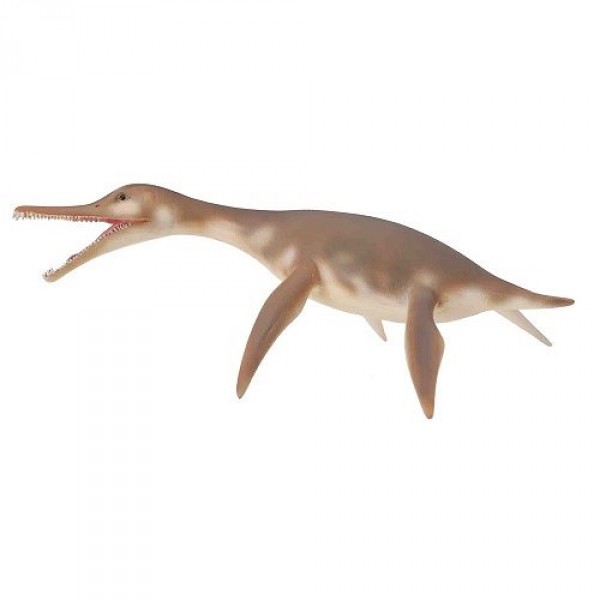Dinosaur Figurine: Dolichorhynchops - Collecta-COL88520