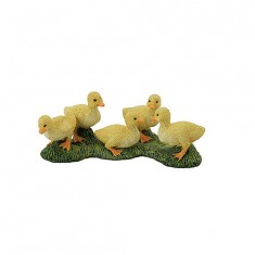 Duck - Ducklings
