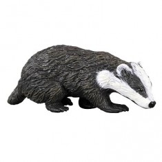 European badger