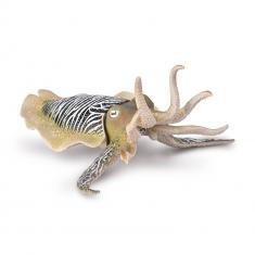 Figurine: Common Cuttlefish - Sepia - (XL)