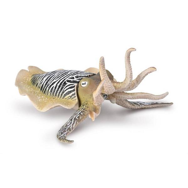 Figurine: Common Cuttlefish - Sepia - (XL) - Collecta-3380009