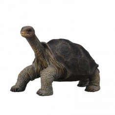 Giant Galapagos Tortoise Figurine