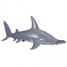 Hammerhead shark