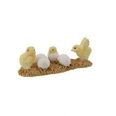 Hen Hatching Chicks