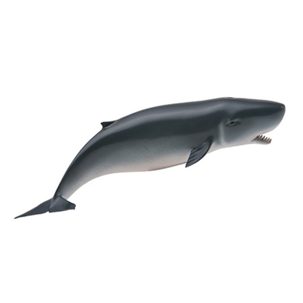 Pygmy Sperm Whale Figurine - Collecta-COL88653