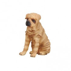 Sharpei dog