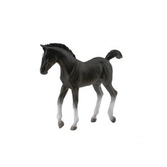 Tennessee Walking Horse - Black foal