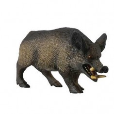 Wild boar