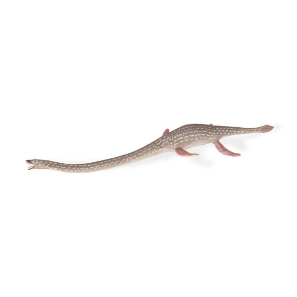  Prehistory Figurine (L): Elasmosaurus - Collecta-COL88922