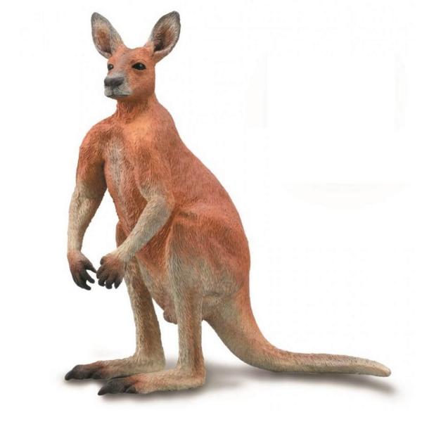 Male Red Kangaroo Figurine - Collecta-COL88942