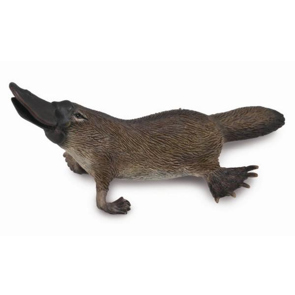 Platypus Figurine - Collecta-COL88795