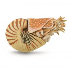 XL prehistory figurine: Nautilus pompilius