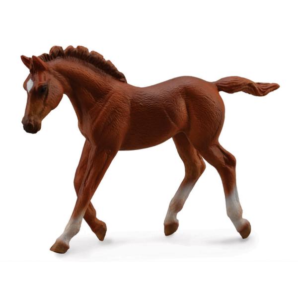  Horse Figurine: English Thoroughbred Marchand Foal - Brown - Collecta-COL88670