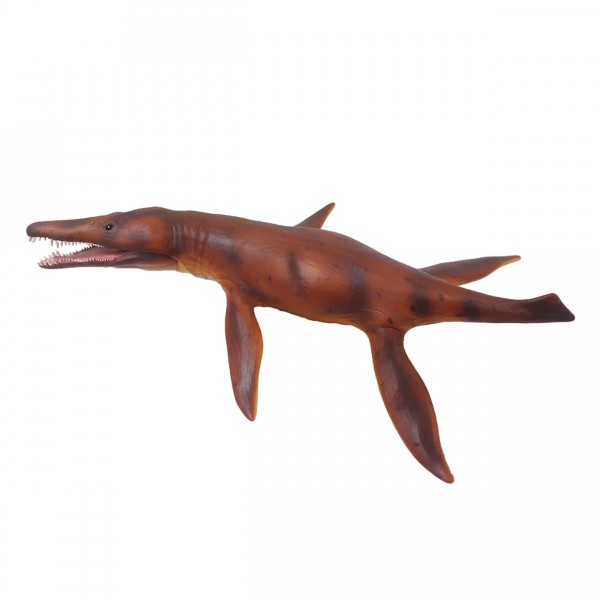 Dinosaur Figure: Deluxe 1:40: Kronosaurus with removable jaw - Collecta-COL88775