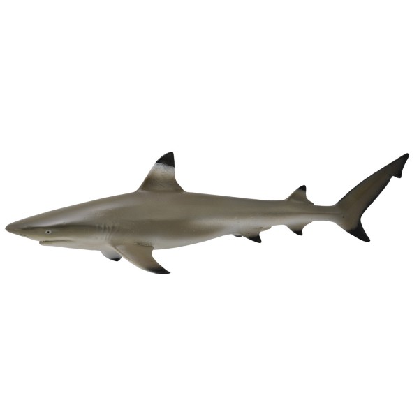 Figurine: black tip shark - Collecta-COL88726