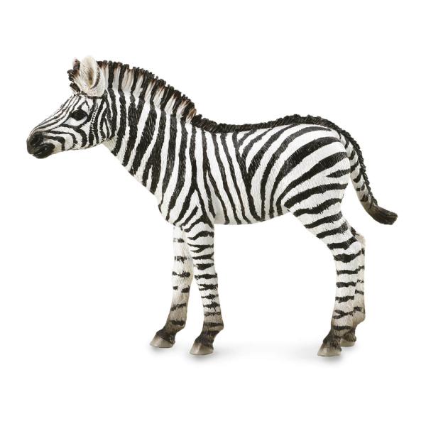 Wild Animal Figurine (M): Baby Common Zebra - Collecta-COL88850