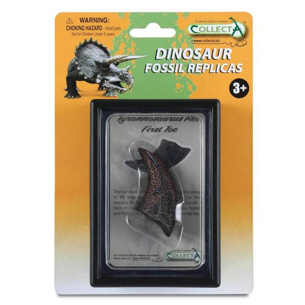 Prehistoric box: First Toe of T-Rex (Fossil replica) - Collecta-3389280