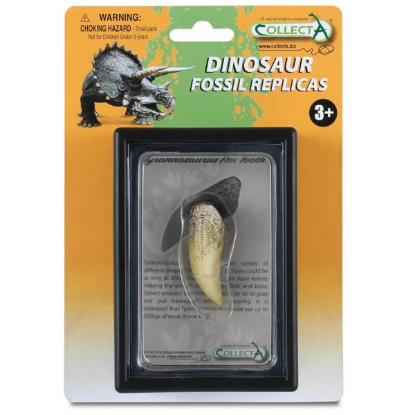 Prehistoric box: Tyrannosaurus Rex tooth (Fossil replica) - Collecta-3389281