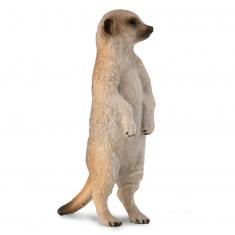 Wild Animal Figurine (S): Meerkat