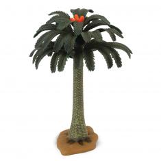 Collecta Trees: Cycadophyta