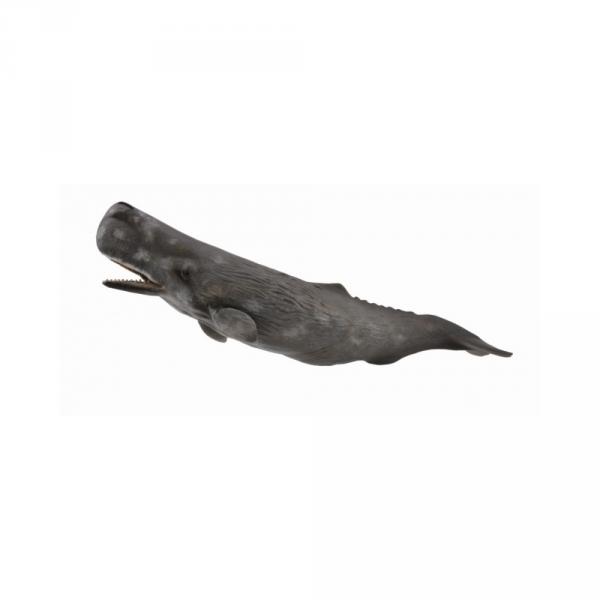 Sperm Whale Figurine - Collecta-COL88835