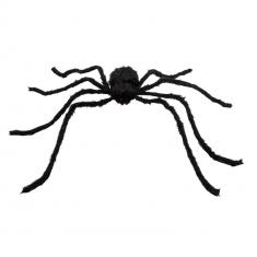 Hairy Spider: XL